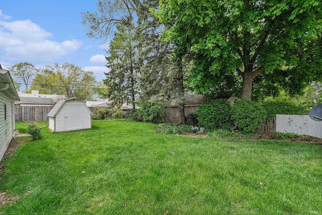 view of yard with a storage shed and an outdoor structure