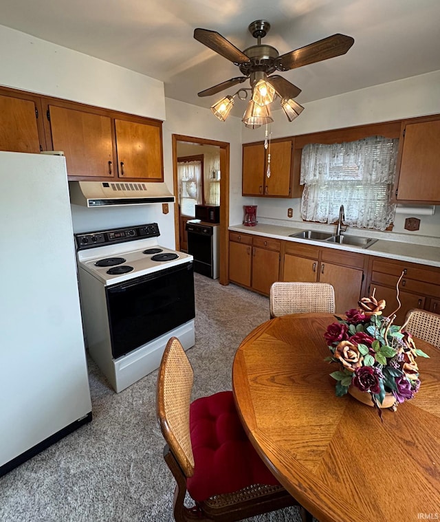 kitchen with white appliances, a sink, under cabinet range hood, brown cabinetry, and light carpet