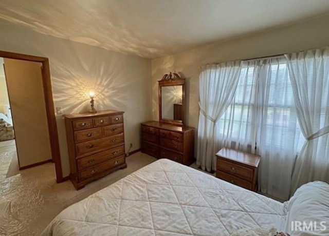 bedroom with carpet flooring
