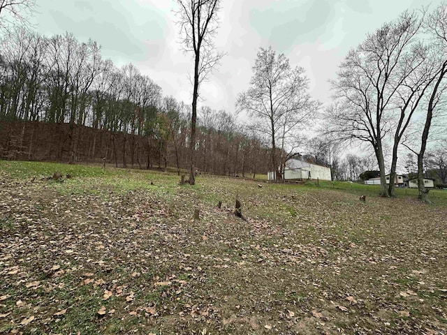 15850-2 Witt Rd, Shoals, IN 47581 - view of yard