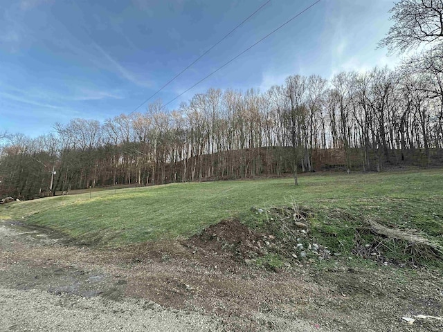 15850-2 Witt Rd, Shoals, IN 47581 - view of green lawn