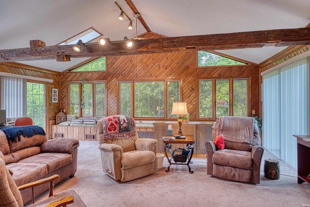 carpeted living area featuring wood walls and rail lighting