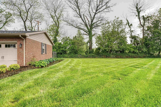 view of grassy yard
