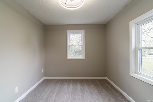 empty room featuring plenty of natural light, carpet flooring, and a textured ceiling