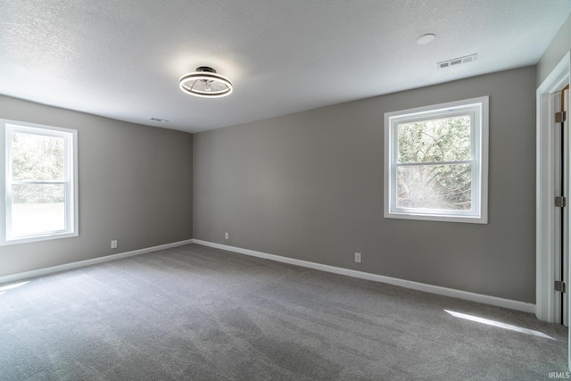 carpeted empty room with plenty of natural light, baseboards, and a textured ceiling