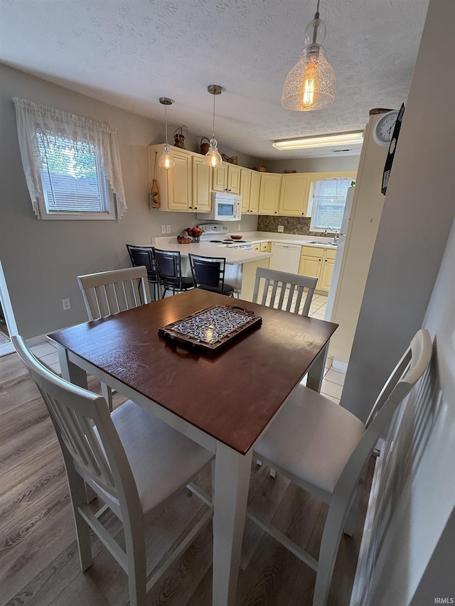 9607 S Lake Ridge Dr, Bloomington, IN 47401 - dining area with plenty of natural light, light wood-type flooring, and a textured ceiling
