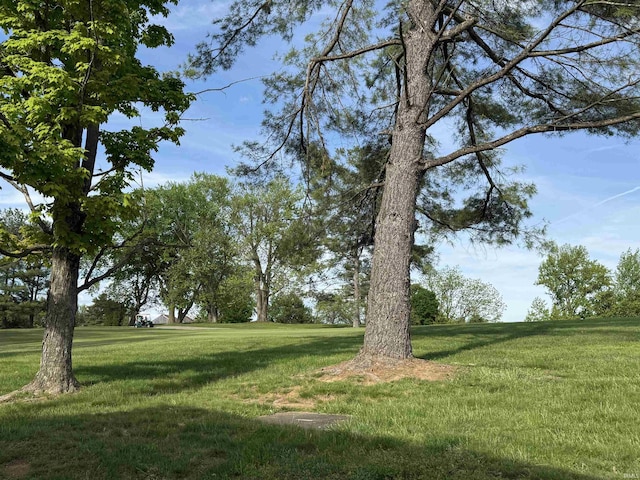 9607 S Lake Ridge Dr, Bloomington, IN 47401 - view of grassy yard