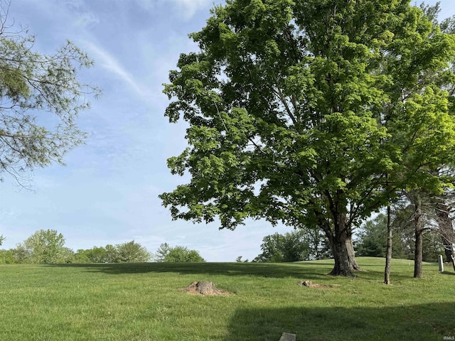 9607 S Lake Ridge Dr, Bloomington, IN 47401 - view of green lawn