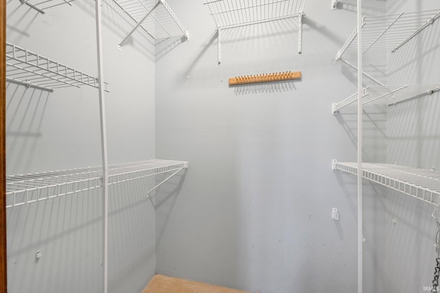 view of spacious closet