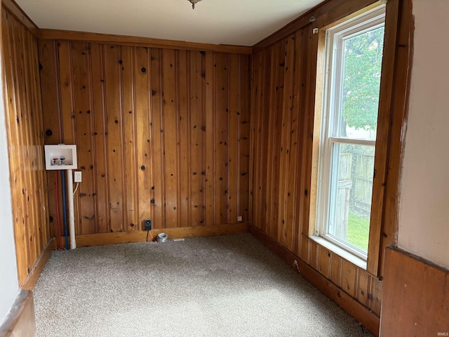 spare room featuring wooden walls and carpet floors