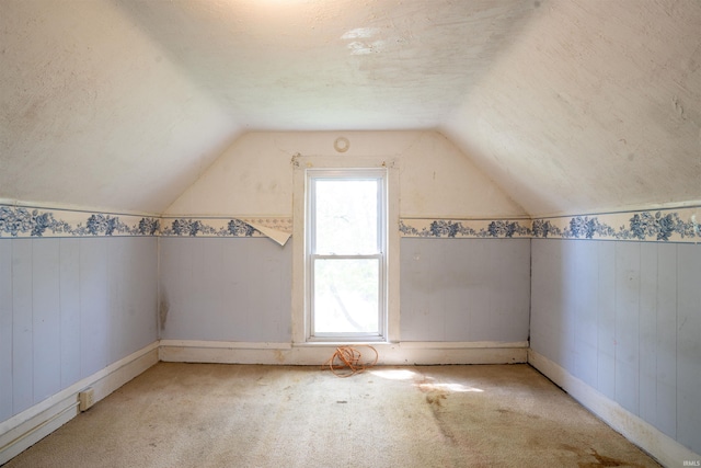additional living space with lofted ceiling, plenty of natural light, carpet floors, a textured ceiling, and wood walls