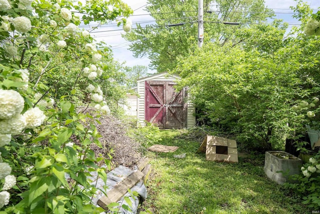 view of yard with a storage shed and an outdoor structure