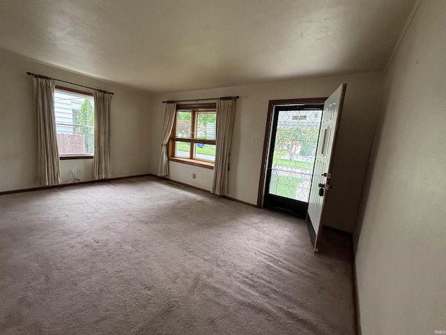 919 Kensington Blvd, Fort Wayne, IN 46805 - empty room with plenty of natural light, carpet flooring, and baseboards