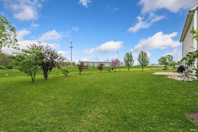 view of grassy yard with a patio area