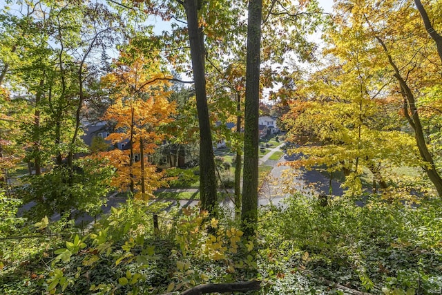 view of undeveloped land