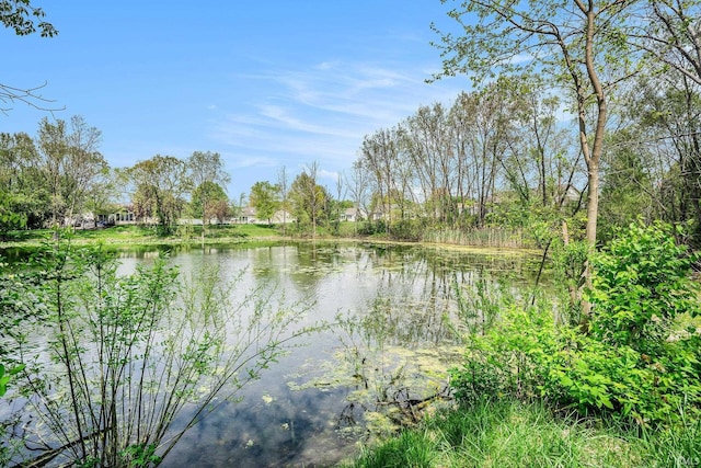water view