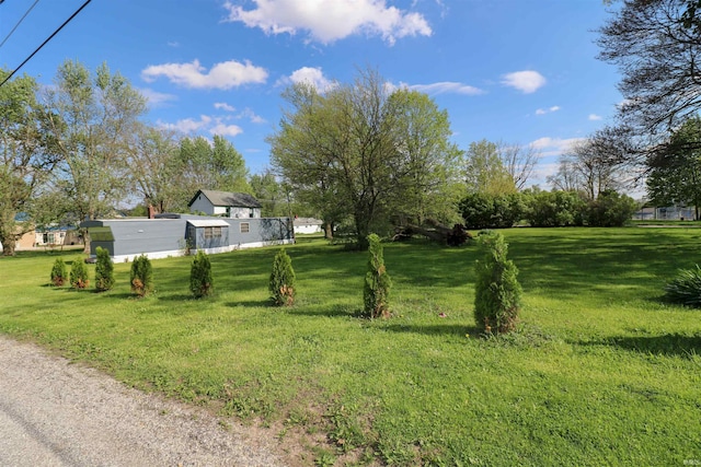1008 W Elm St, Hartford City, IN 47348 - view of green lawn