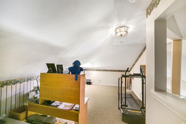 exercise area with carpet and lofted ceiling