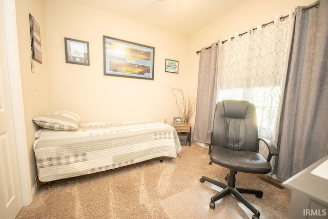 3417 S Tulip Ave, Bloomington, IN 47403 - view of carpeted bedroom
