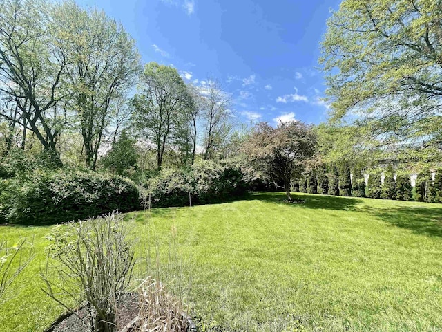 view of grassy yard