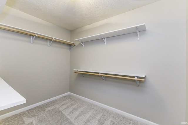 walk in closet featuring carpet