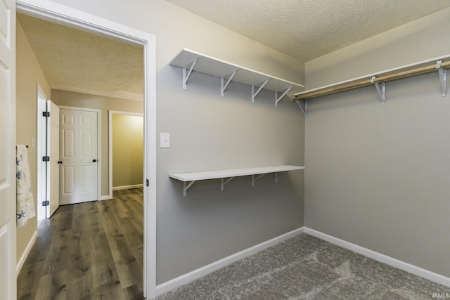 spacious closet featuring dark wood finished floors