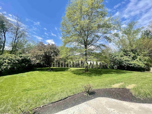 view of green lawn