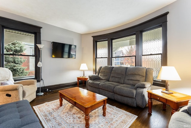 1026 N Michigan St, South Bend, IN 46617 - living room featuring dark wood-type flooring, healthy amount of natural light, and baseboards