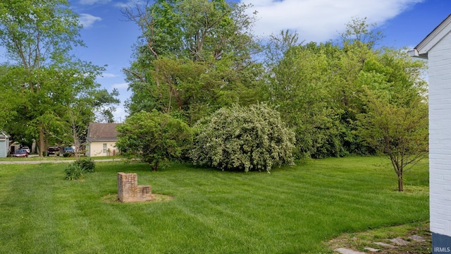 view of green lawn