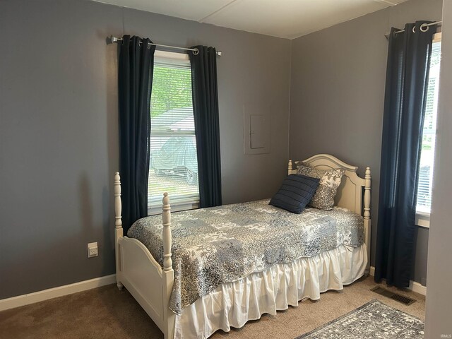 2705 Edgar St, Evansville, IN 47710 - carpeted bedroom featuring multiple windows and baseboards