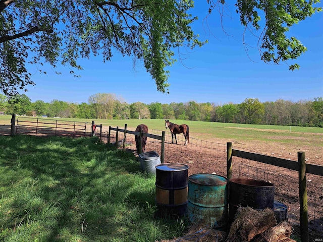 view of yard with a rural view