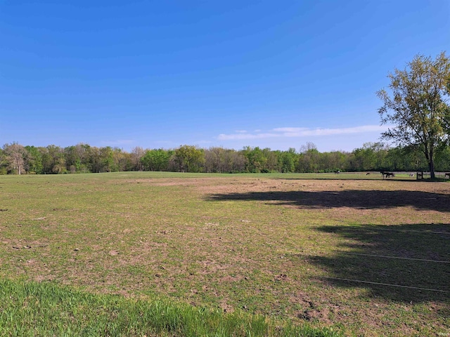 view of grassy yard featuring a view of countryside and a forest view