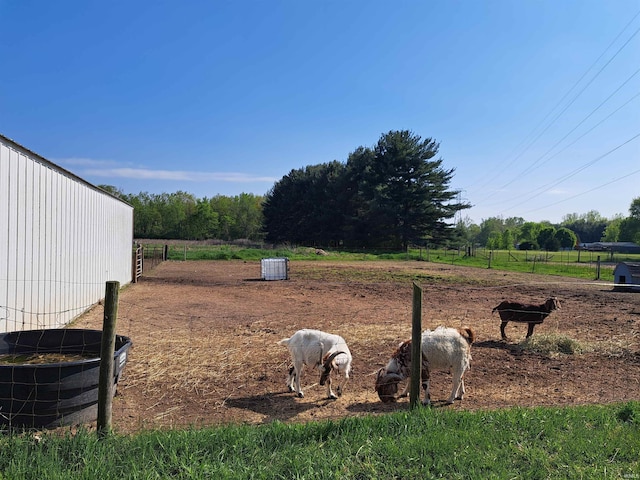 view of yard featuring a rural view