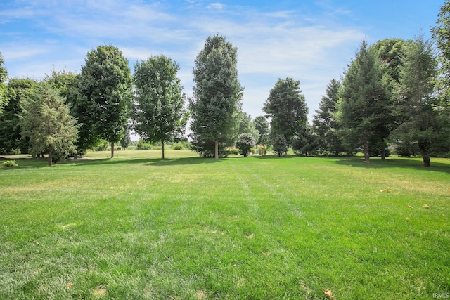 104 Lavender Ct, New Carlisle, IN 46552 - view of grassy yard