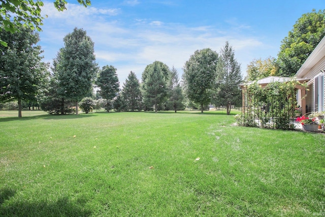 104 Lavender Ct, New Carlisle, IN 46552 - view of grassy yard