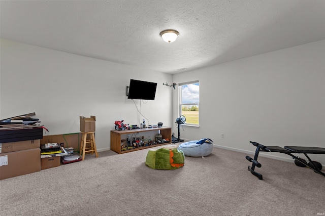 384 Ariel Dr, Kokomo, IN 46901 - exercise room with carpet, a textured ceiling, and baseboards
