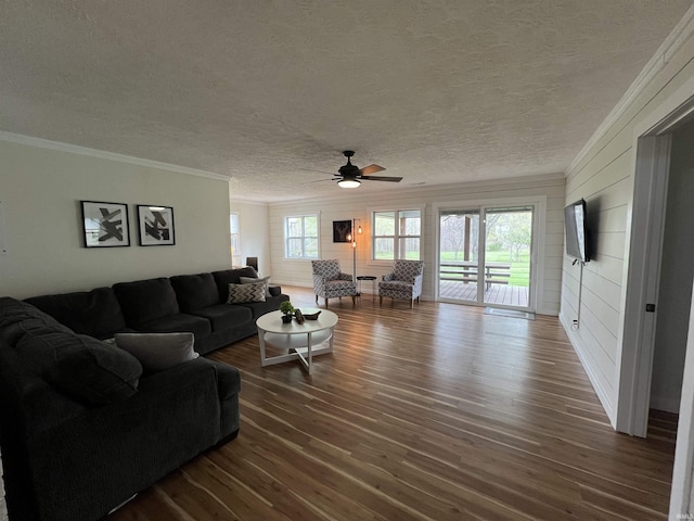18065 Buzzard Roost Rd, Magnet, IN 47520 - living area featuring ornamental molding, dark wood finished floors, a textured ceiling, and a ceiling fan