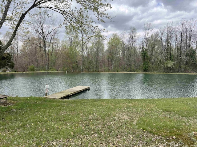 18065 Buzzard Roost Rd, Magnet, IN 47520 - dock area featuring a water view, a yard, and a view of trees
