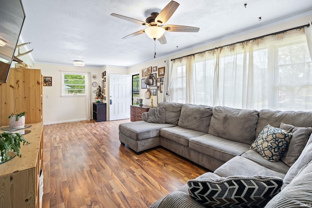 living area with ceiling fan, wood finished floors, baseboards, and a textured ceiling