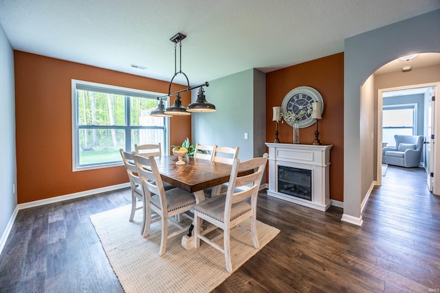 13865 Escondida Cv, Fort Wayne, IN 46845 - dining room featuring arched walkways, baseboards, dark wood-style floors, and a glass covered fireplace