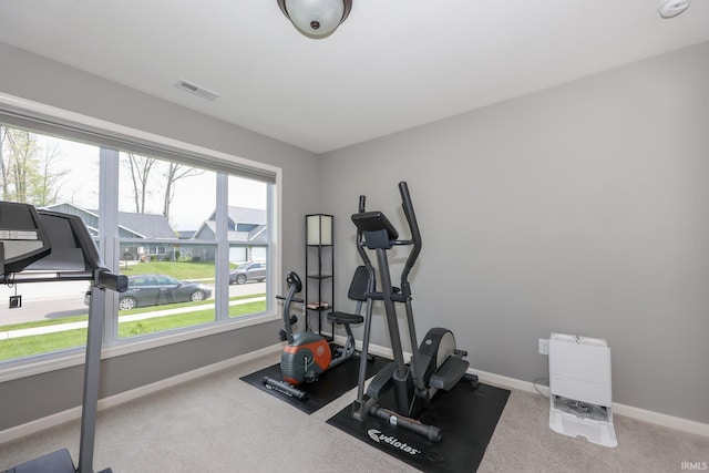 13865 Escondida Cv, Fort Wayne, IN 46845 - workout area with baseboards and carpet floors