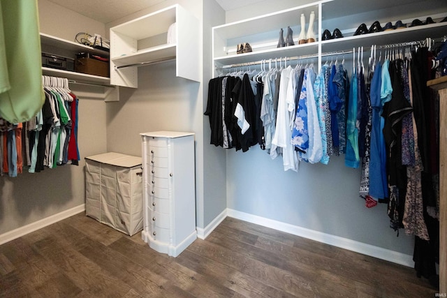 13865 Escondida Cv, Fort Wayne, IN 46845 - spacious closet featuring dark wood-style floors