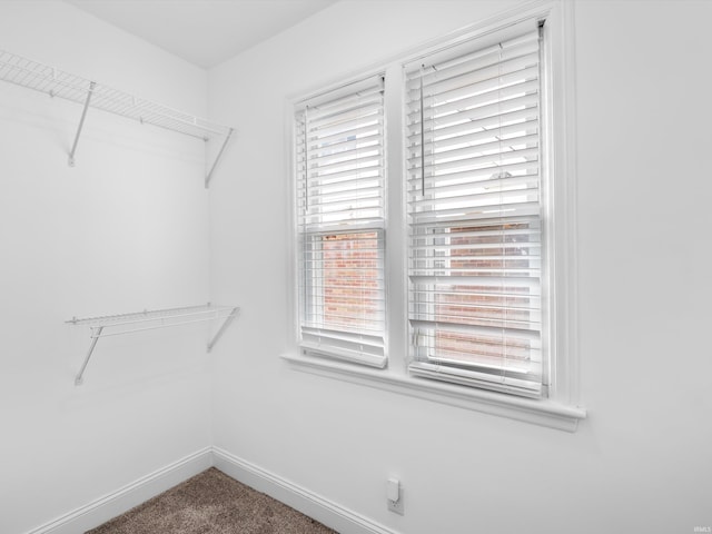 541 S Kelsey Ave, Evansville, IN 47714 - spacious closet featuring carpet flooring