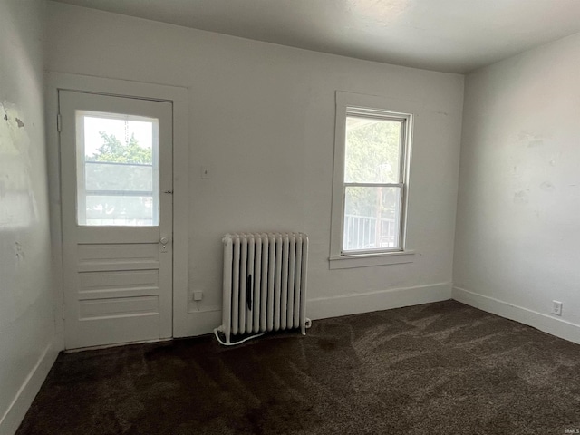 115 E 2nd St, Peru, IN 46970 - entryway featuring radiator, dark colored carpet, and healthy amount of natural light