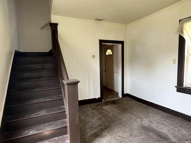 115 E 2nd St, Peru, IN 46970 - staircase featuring carpet and baseboards