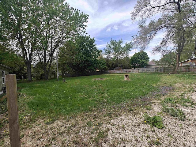 78 Ems B6 Ln, Leesburg, IN 46538 - view of yard with fence