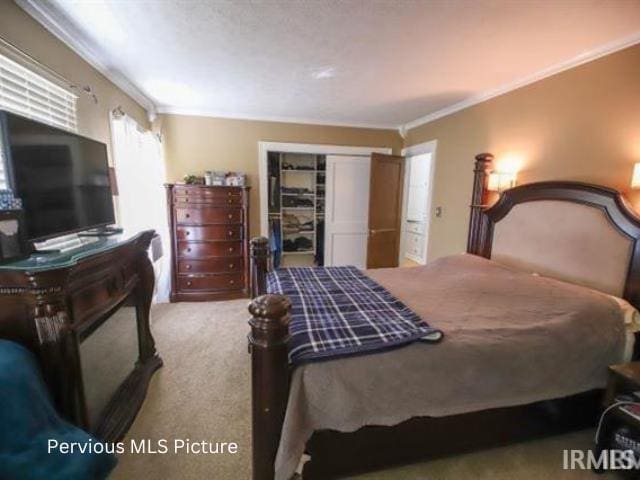 1700 W Taylor St, Kokomo, IN 46901 - bedroom featuring ornamental molding, carpet floors, and a closet