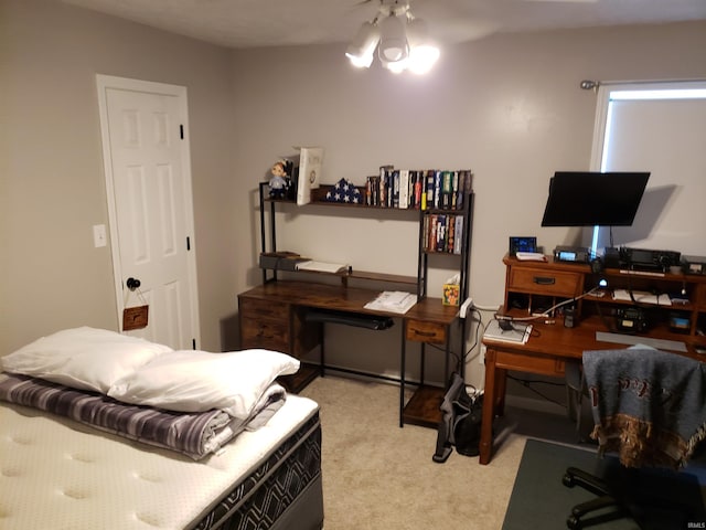 office with light colored carpet