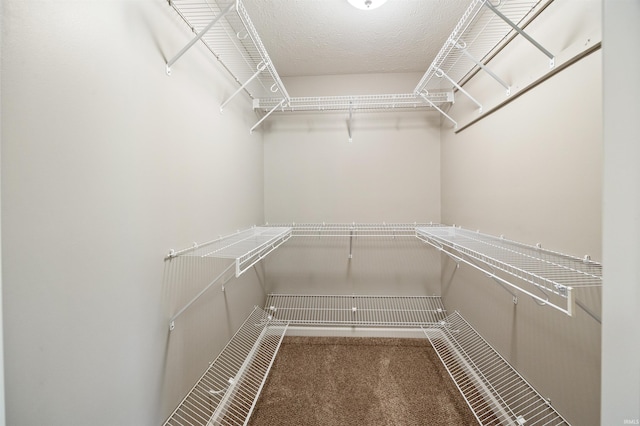 walk in closet with carpet flooring