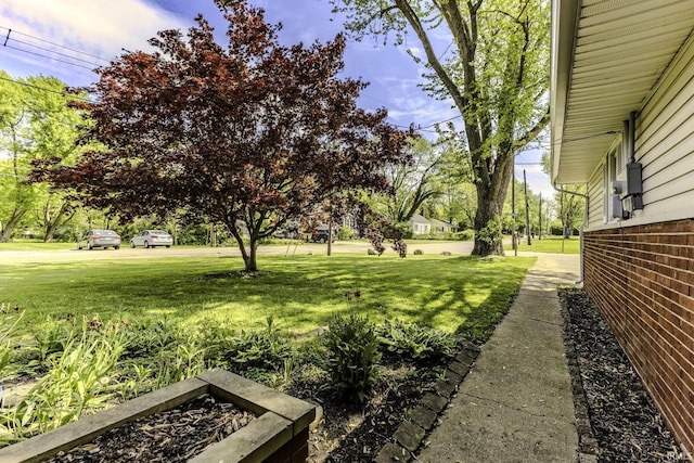 view of green lawn